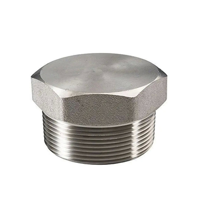 ASME/ANSI Karbon Çelik Paslanmaz Çelik Yüksek Basınç Düzeyi Fiş Endüstriyel Sınıf Özelleştirilebilir Boyutlar Boru Fittings