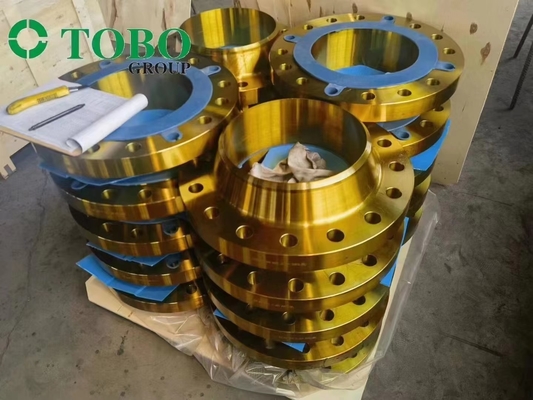 TOBO A105 WN RF/ BL RF FLANŞ KAPLAMASI ÖZELLEŞTİRİLDİĞİNDE