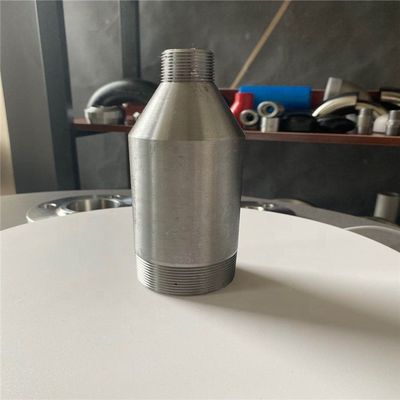 Dikişsiz Paslanmaz Çelik A182 WP317 SCH10SxSCH40S PBE Swage Nipel