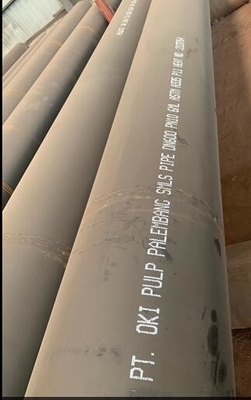 Paslanmaz Çelik AISI/SATM 304 Dikişsiz Borular OD 10" Sch10s ASME B36.19M