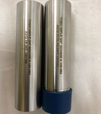 SS A312 TP317 Dişi Dişli Paslanmaz Çelik Nipel