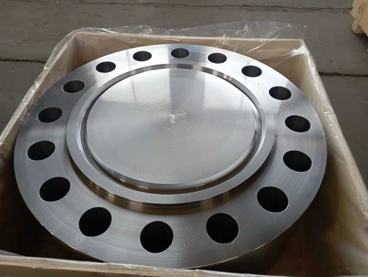 BL Nikel Alaşımlı Metal Flanş ASTM/UNS N08800 4