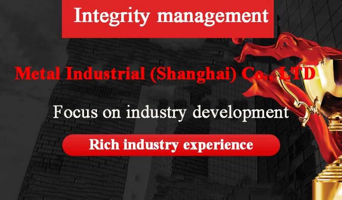 ANSI/ASME paslanmaz çelik karbon çelik fişleri özelleştirilebilir boyutlar ve malzeme endüstriyel sınıf 0