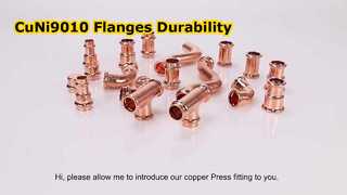 CuNi9010 Flanşlar Dövme Çelik RF Kaynağı