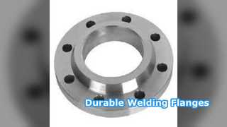 Kaynak Boyunlu Flanşlar SS304 SS316 PN6